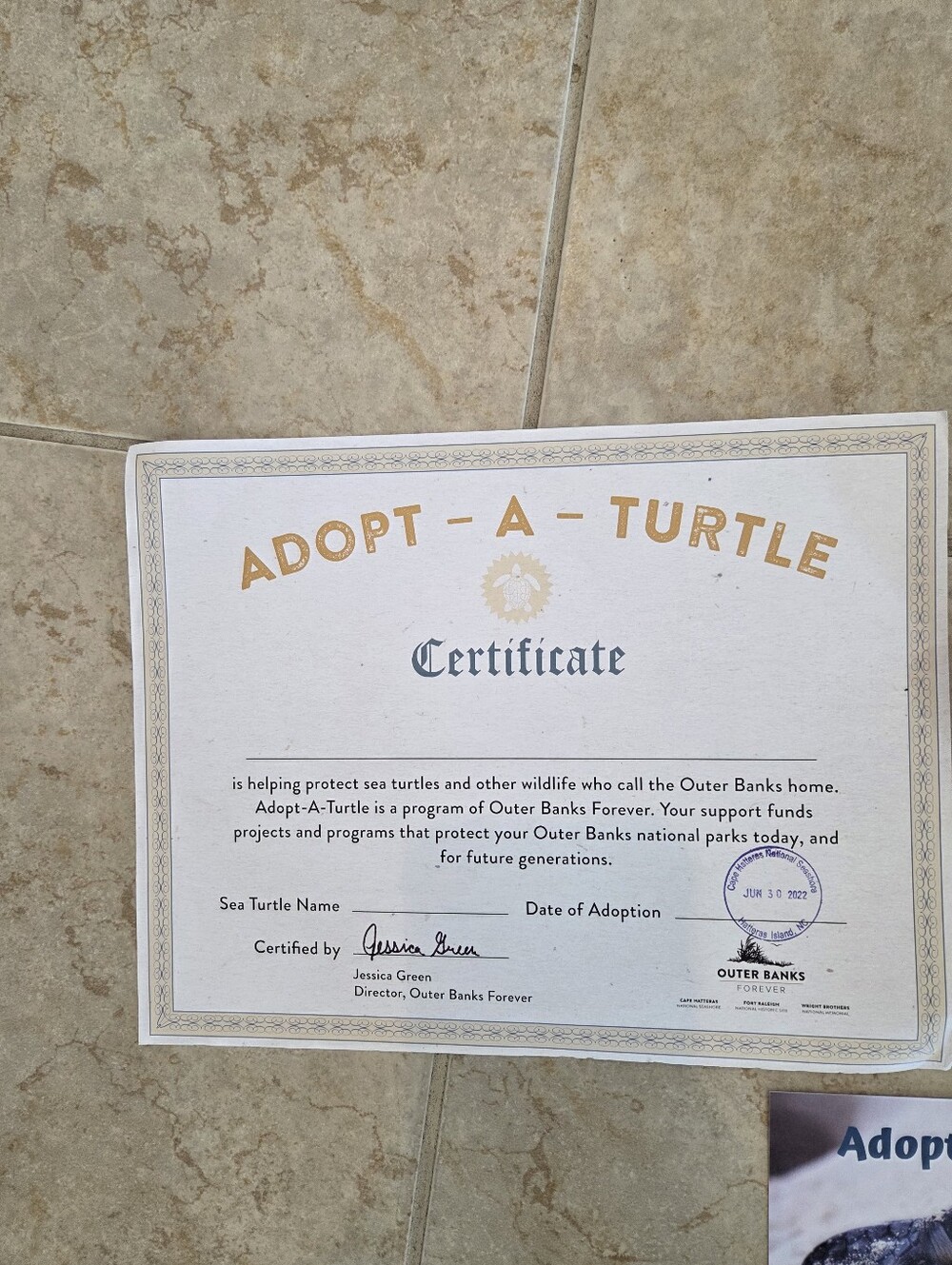Turtle Realistic Tracking Lot - Picture 3 of 6
